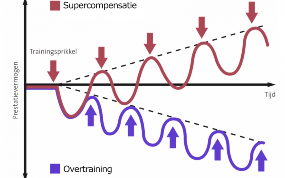 Supercompensatie